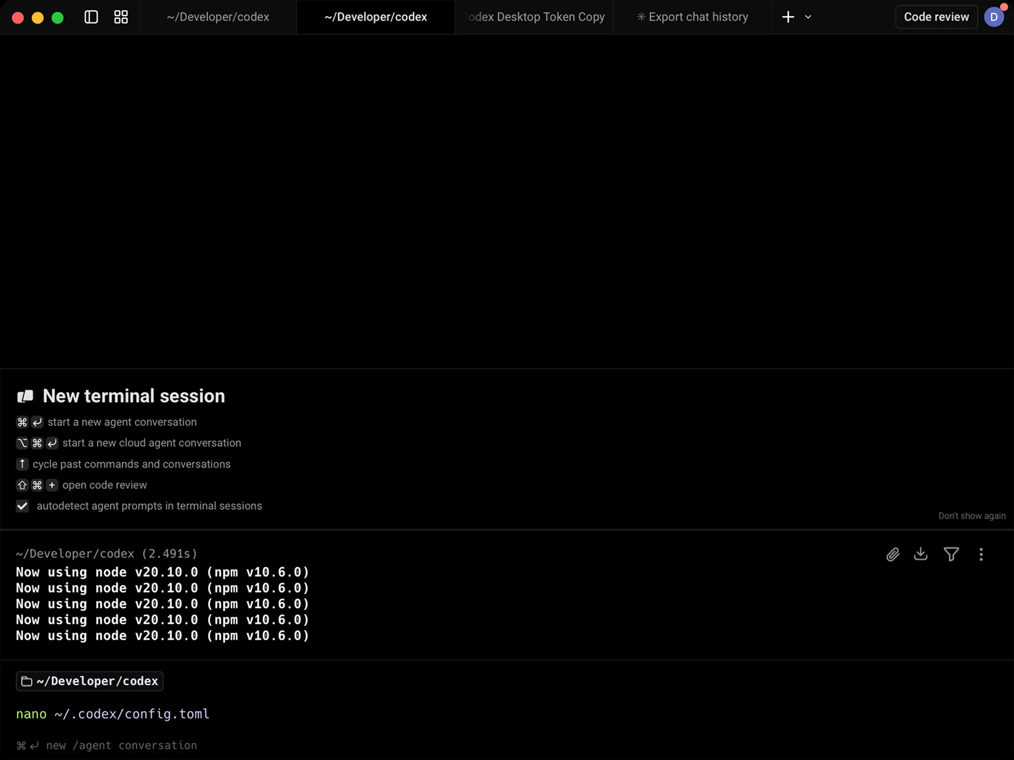 Codex CLI config file open in nano