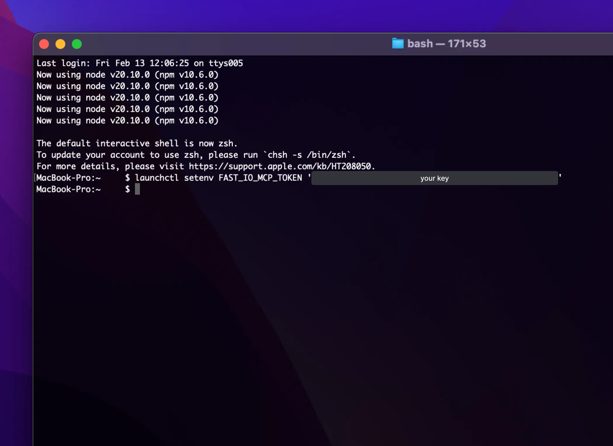 Terminal running launchctl setenv command