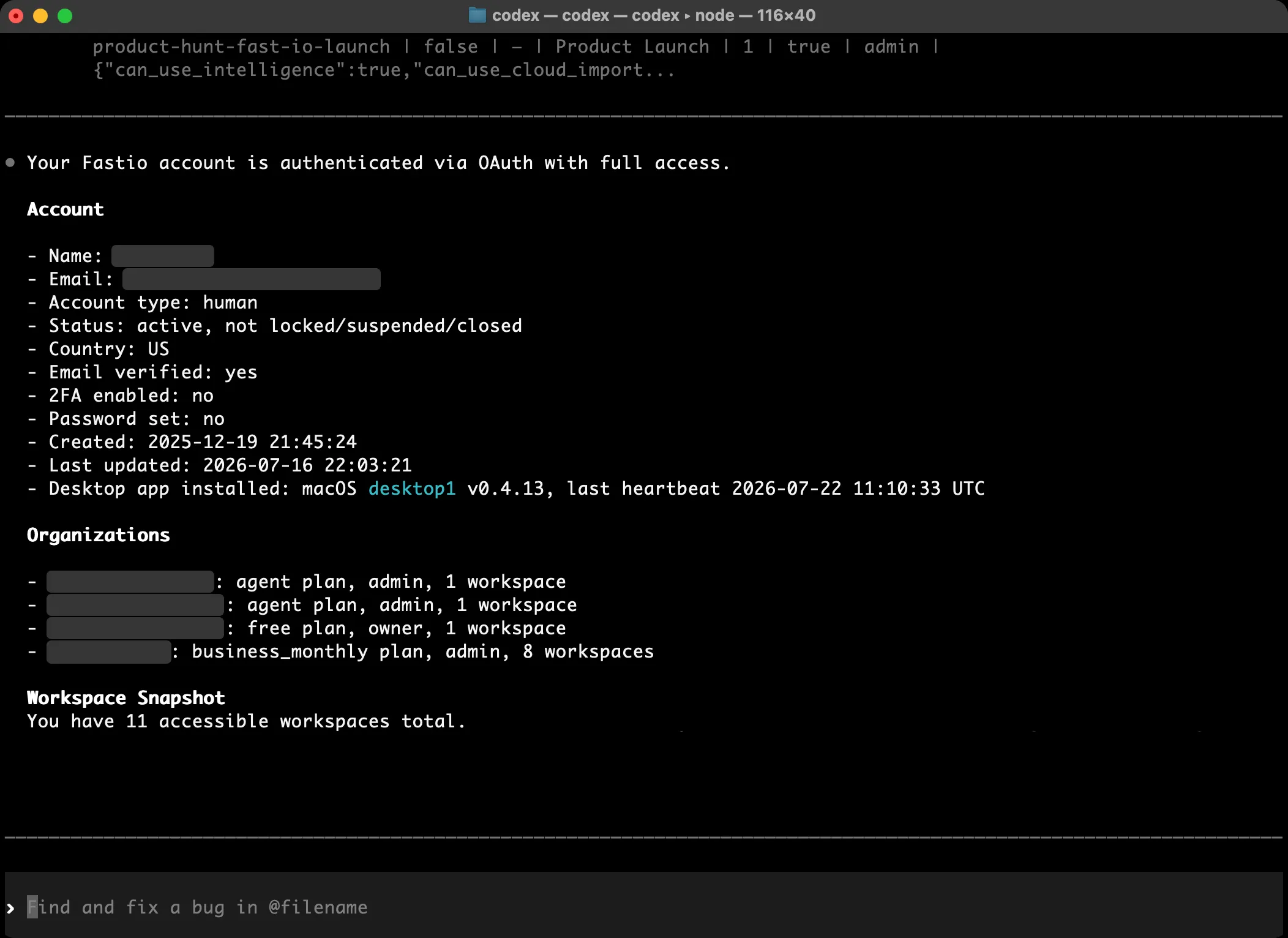 Codex CLI showing Fastio account summary