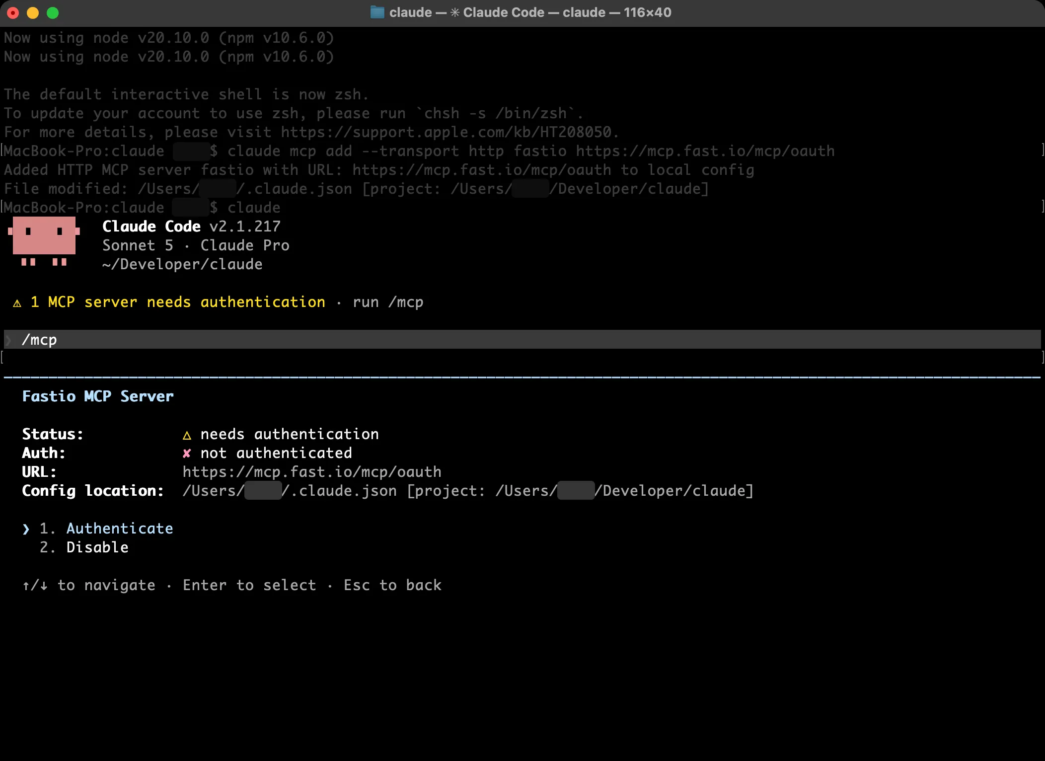 Claude Code Fastio MCP server detail with Authenticate option
