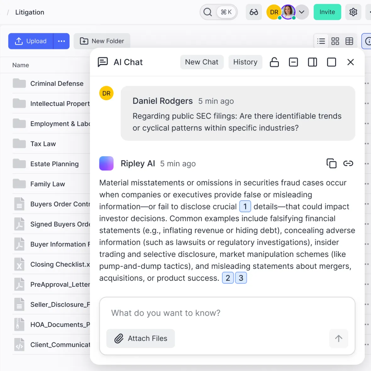 Ripley insights chat