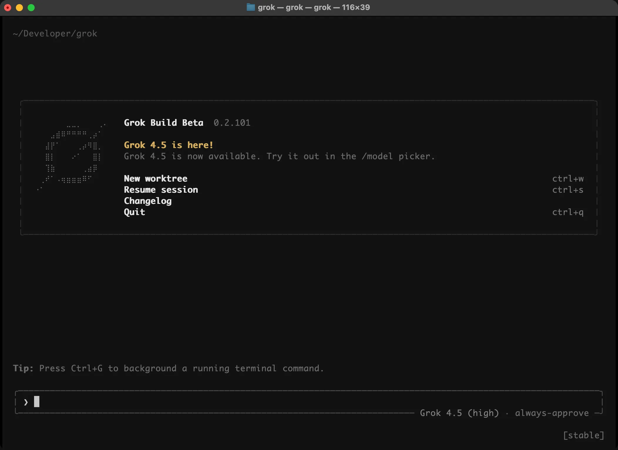 Grok CLI started in a terminal